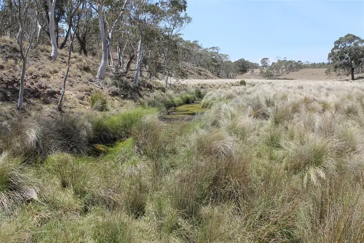 Fifth view of Homely rural property listing, 145 Killarney Road, Braidwood NSW 2622