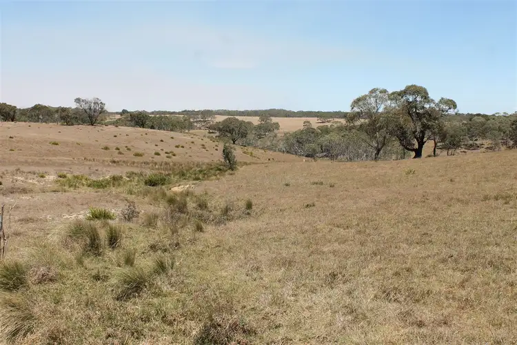 Sixth view of Homely rural property listing, 145 Killarney Road, Braidwood NSW 2622
