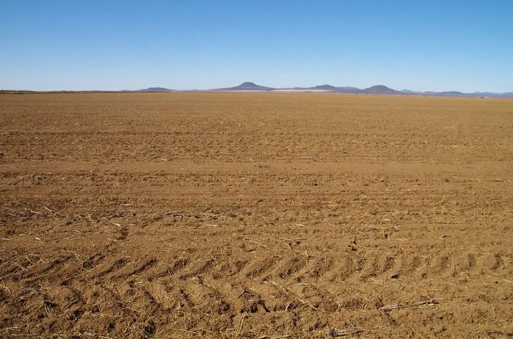 Main view of Homely rural property listing, 1653-1655 Trinkey Forest Road, Tambar Springs NSW 2381