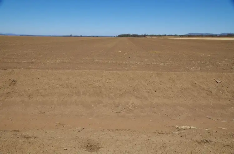 Second view of Homely rural property listing, 1653-1655 Trinkey Forest Road, Tambar Springs NSW 2381