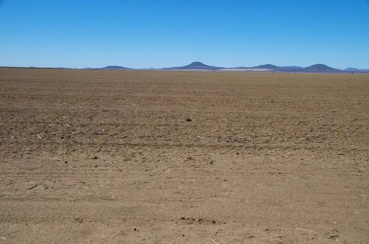 Third view of Homely rural property listing, 1653-1655 Trinkey Forest Road, Tambar Springs NSW 2381