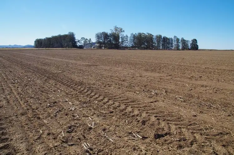 Fourth view of Homely rural property listing, 1653-1655 Trinkey Forest Road, Tambar Springs NSW 2381