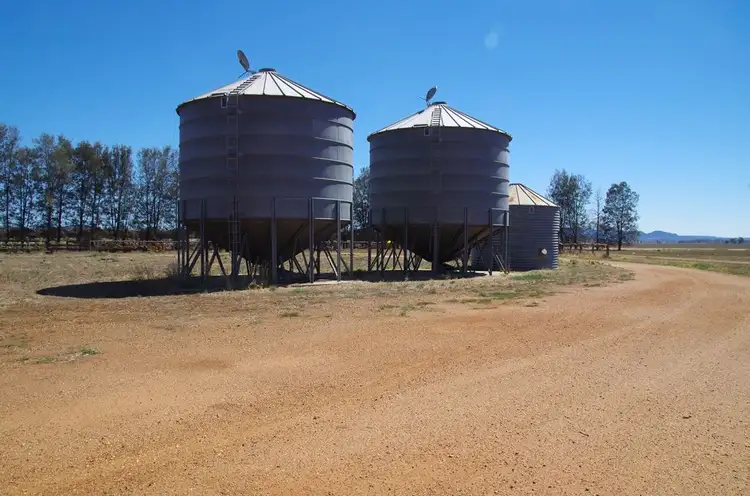 Seventh view of Homely rural property listing, 1653-1655 Trinkey Forest Road, Tambar Springs NSW 2381