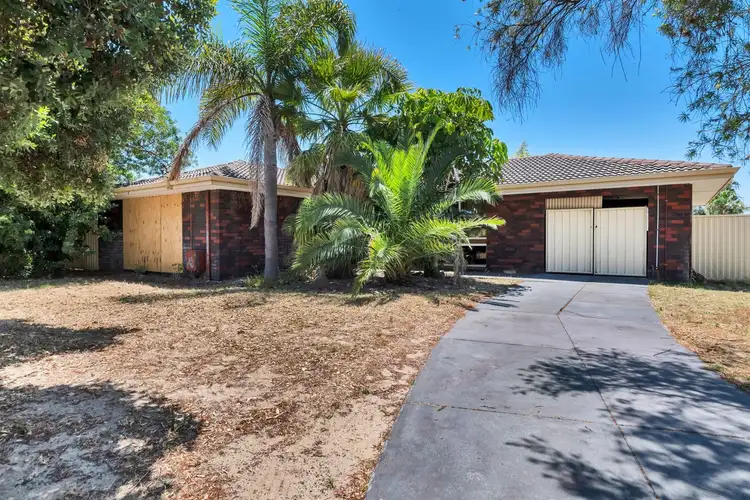 16 Bibanup Court, Hillman WA 6168