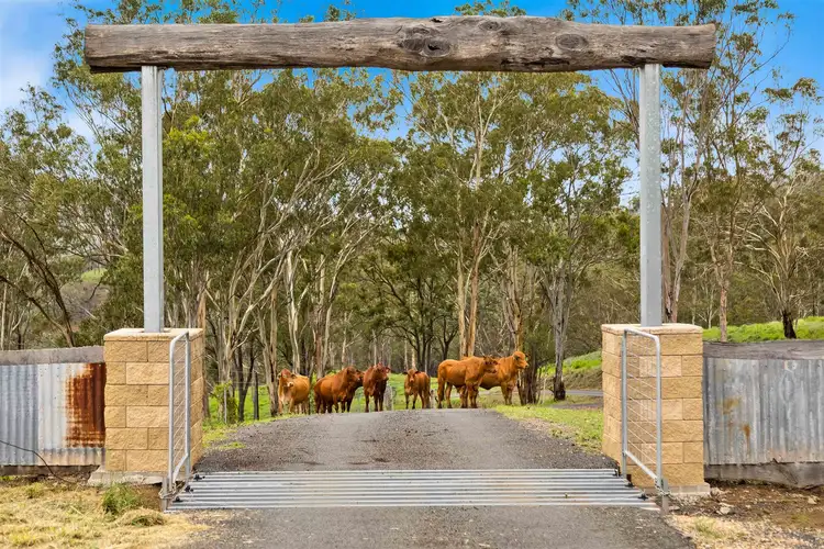Second view of Homely rural property listing, 83 Hell Hole Creek Road, Preston QLD 4352