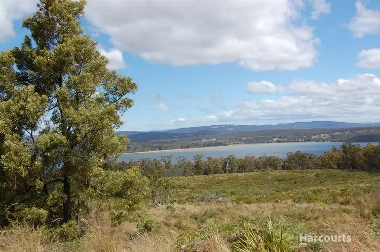Fourth view of Homely land listing, Lot 1 Brownrigg Street, Hillwood TAS 7252