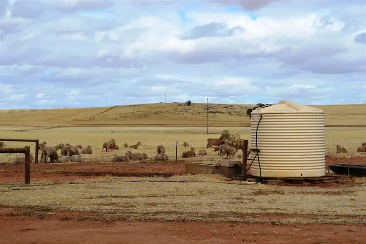 Second view of Homely rural property listing, 11242 Horrocks Highway, Brinkworth SA 5464