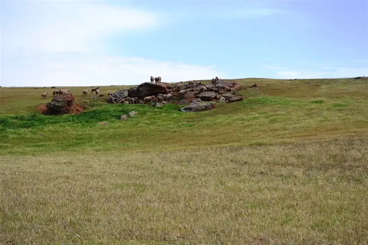 Third view of Homely rural property listing, 11242 Horrocks Highway, Brinkworth SA 5464