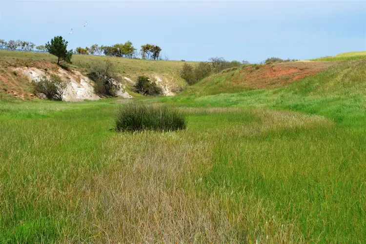 Fourth view of Homely rural property listing, 11242 Horrocks Highway, Brinkworth SA 5464