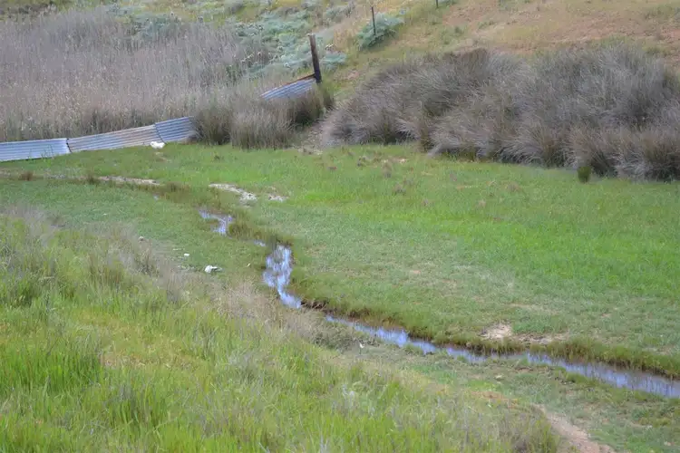 Fifth view of Homely rural property listing, 11242 Horrocks Highway, Brinkworth SA 5464