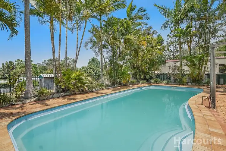 Third view of Homely rural property listing, 203 - 205 Nairn Road, Morayfield QLD 4506