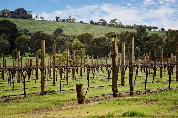 Fifth view of Homely land listing, 11 Semmens Road, Mclaren Vale SA 5171