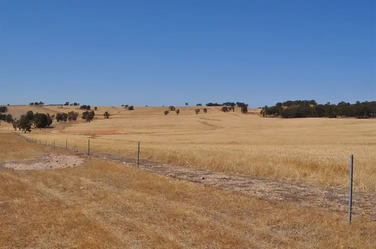 Sixth view of Homely rural property listing, ' Rhodesdale', Darkan WA 6392