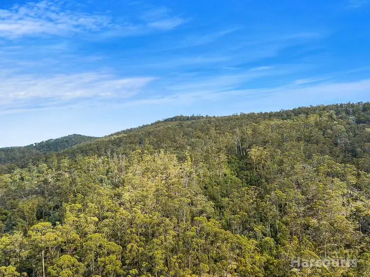 Seventh view of Homely land listing, Lot 1 Nugent Road, Wattle Hill TAS 7172