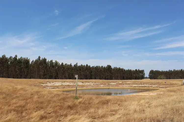 Sixth view of Homely rural property listing, 1096 Settlement Road, Narrikup WA 6326