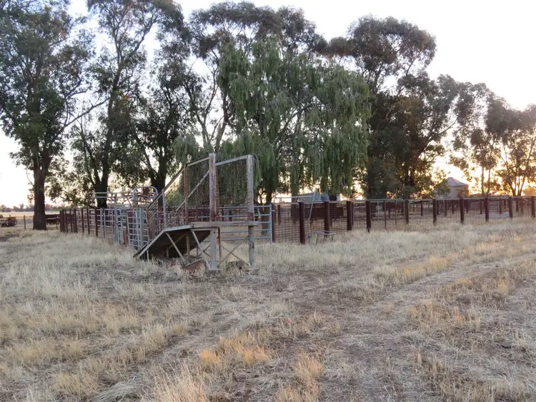 Sixth view of Homely rural property listing, 835 Bunnaloo Road, Mathoura NSW 2710