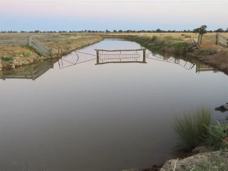 Seventh view of Homely rural property listing, 835 Bunnaloo Road, Mathoura NSW 2710