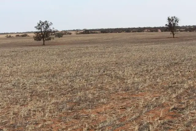 Sixth view of Homely rural property listing, 373 Werrimull South Road, Werrimull VIC 3496