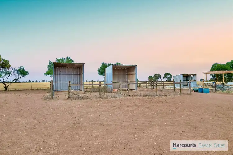Fifth view of Homely house listing, 1663 Germantown Road via Redbanks, Mallala SA 5502