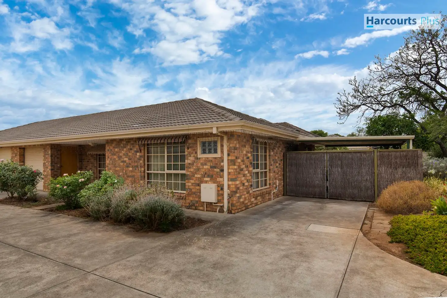 Main view of Homely unit listing, 1/55 Castle Street, Edwardstown SA 5039