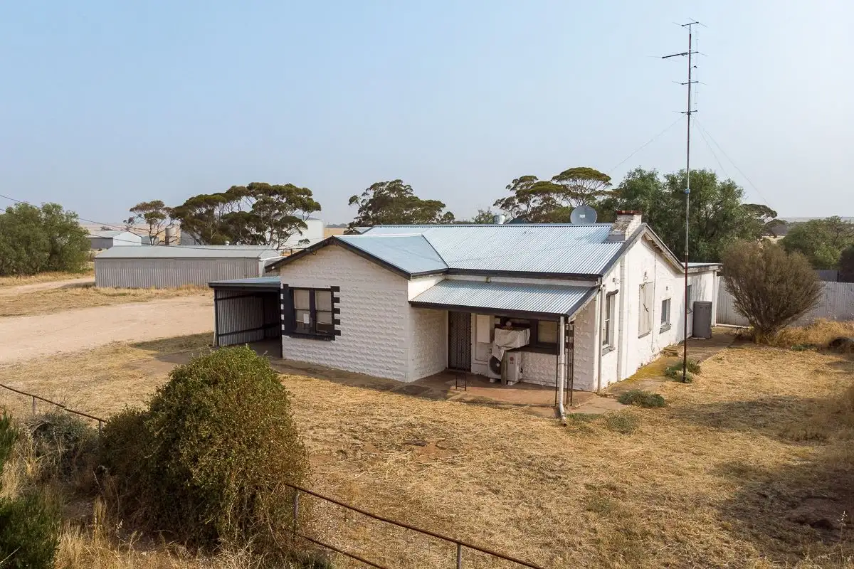 Main view of Homely rural property listing, 4532 Mallee Highway, Peake SA 5301