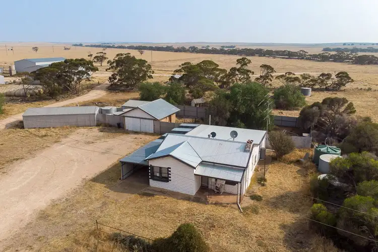Second view of Homely rural property listing, 4532 Mallee Highway, Peake SA 5301