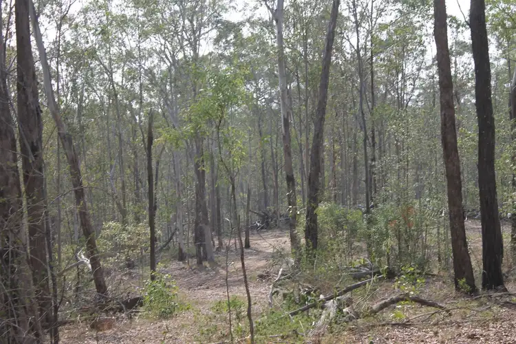 Third view of Homely rural property listing, Lot 2 Shannonbrook Road, Shannon Brook NSW 2470