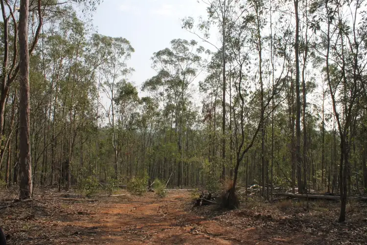 Fourth view of Homely rural property listing, Lot 2 Shannonbrook Road, Shannon Brook NSW 2470