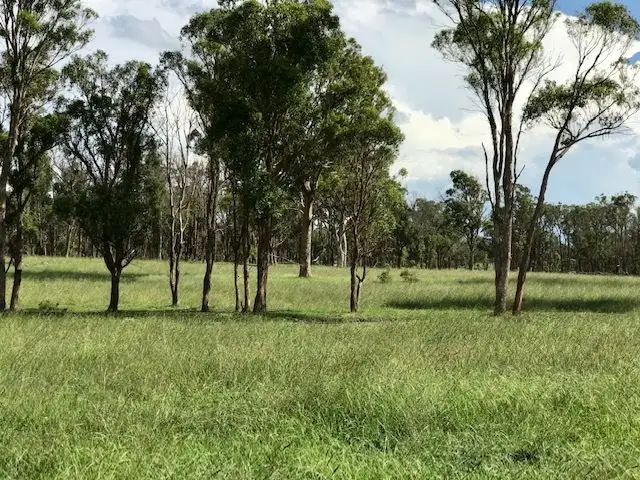 Fifth view of Homely rural property listing, Sunnyside/79 Nine Mile Road, Dundee NSW 2370