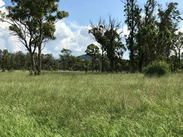 Sixth view of Homely rural property listing, Sunnyside/79 Nine Mile Road, Dundee NSW 2370
