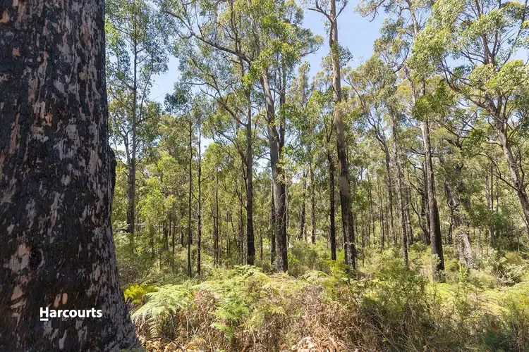 Fourth view of Homely land listing, Lot 1 Esperance Coast Road, Brooks Bay TAS 7116