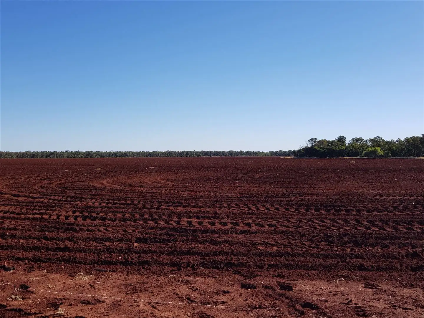 Main view of Homely rural property listing, 3490 Kilcummin Diamond Downs Road, Clermont QLD 4721