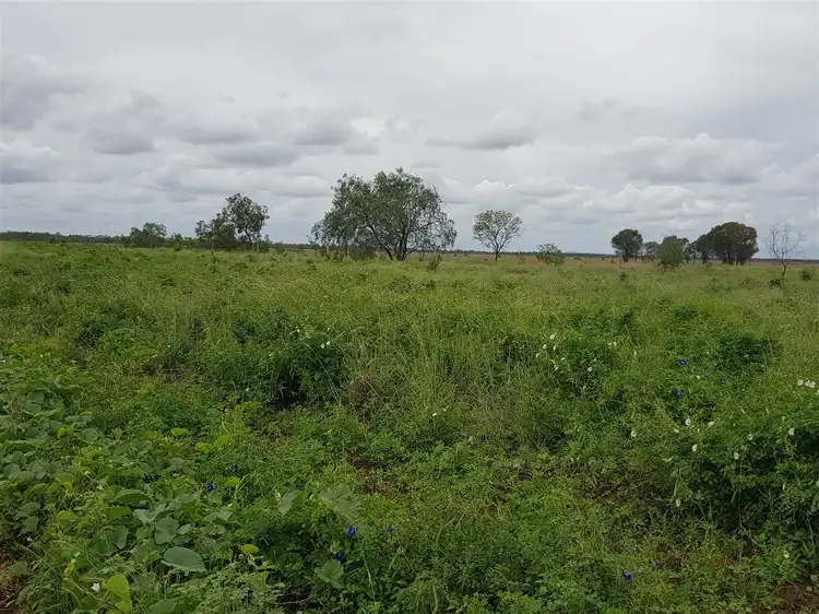 Second view of Homely rural property listing, 3490 Kilcummin Diamond Downs Road, Clermont QLD 4721
