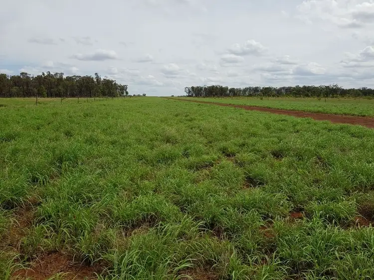 Third view of Homely rural property listing, 3490 Kilcummin Diamond Downs Road, Clermont QLD 4721