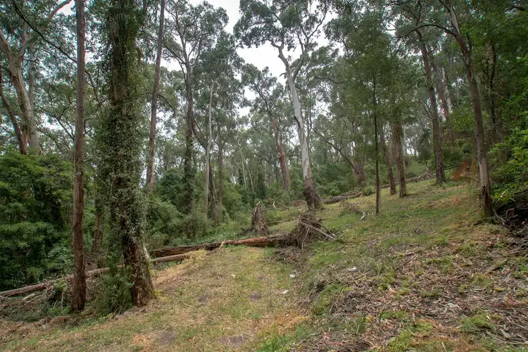 Fifth view of Homely land listing, 6 View Road, Tecoma VIC 3160