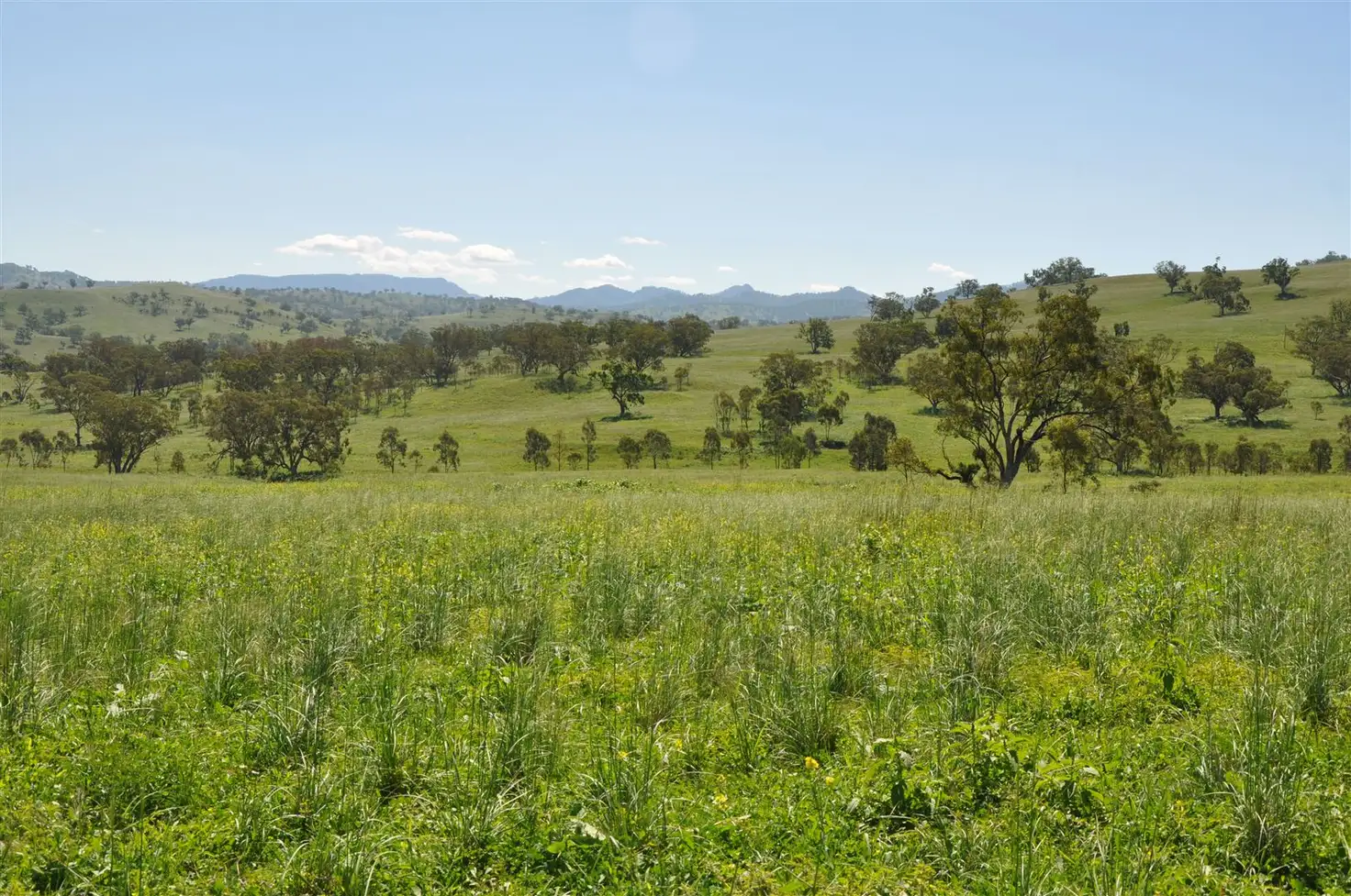 Main view of Homely rural property listing, . 'Coulsons', Willow Tree Rd, Merriwa NSW 2329
