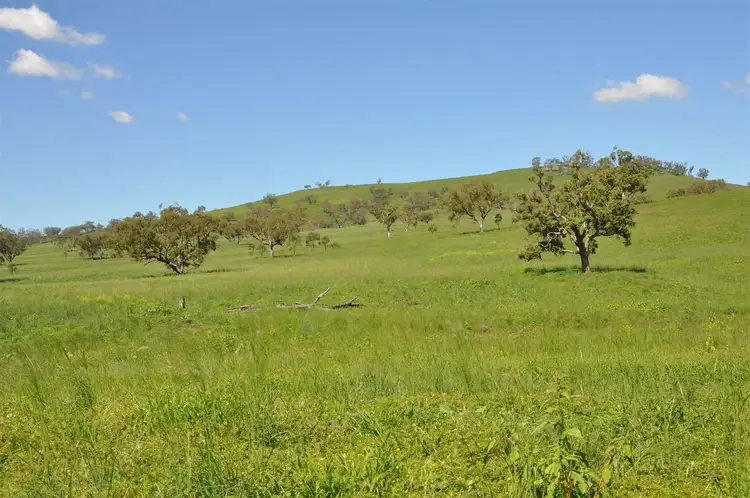 Second view of Homely rural property listing, . 'Coulsons', Willow Tree Rd, Merriwa NSW 2329
