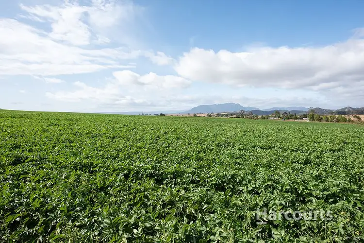 Fourth view of Homely rural property listing, 1479 Sheffield Road, Barrington TAS 7306