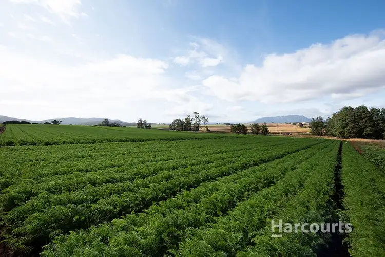 Sixth view of Homely rural property listing, 1479 Sheffield Road, Barrington TAS 7306