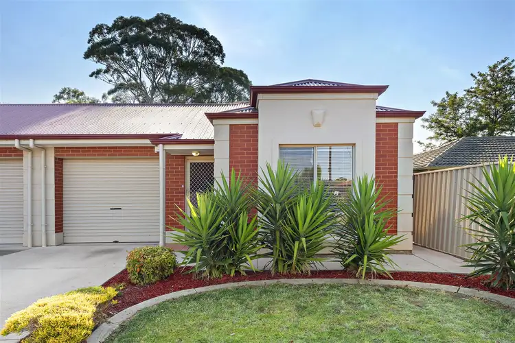 6A Allambee Avenue, Edwardstown SA 5039