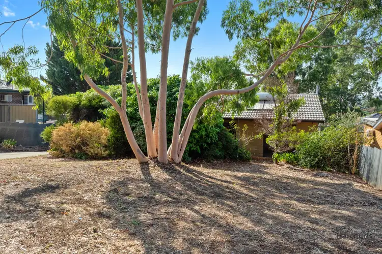 Second view of Homely house listing, 42 Carolyn Avenue, Morphett Vale SA 5162