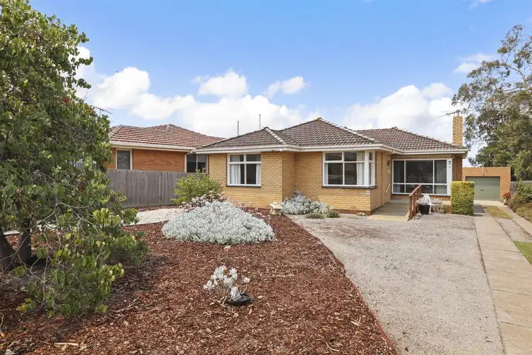 Main view of Homely house listing, 11 Sheridan Street, Hamlyn Heights VIC 3215