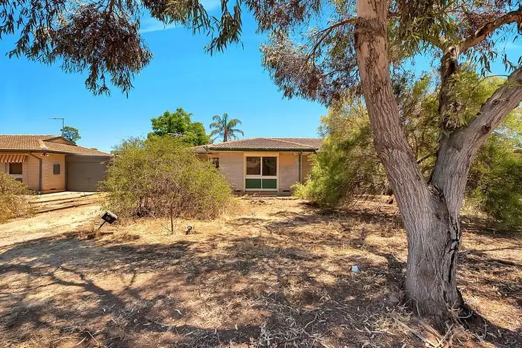 19 Mulga Street, Gawler West SA 5118