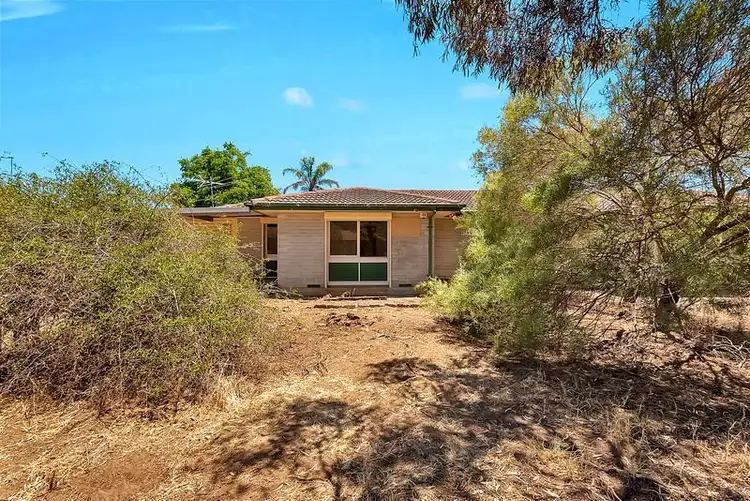 Second view of Homely house listing, 19 Mulga Street, Gawler West SA 5118