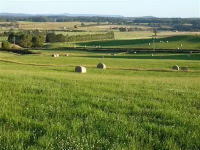 Main view of Homely rural property listing, 715 Backline Road, Forest TAS 7330