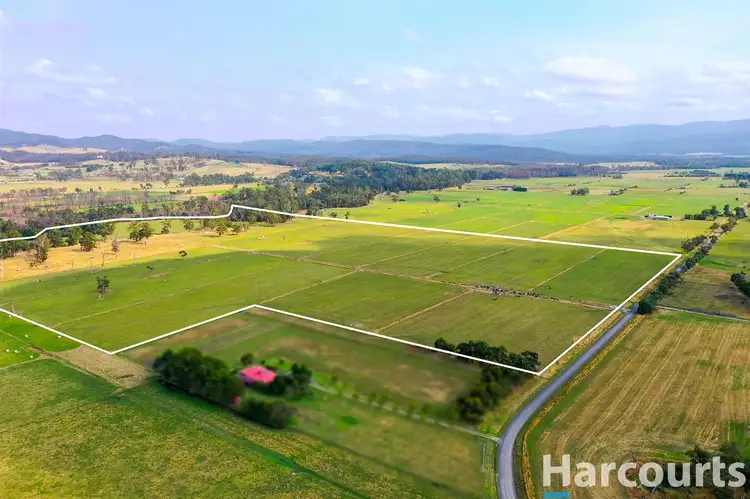 Main view of Homely rural property listing, 405 Morrison Road, Labertouche VIC 3816