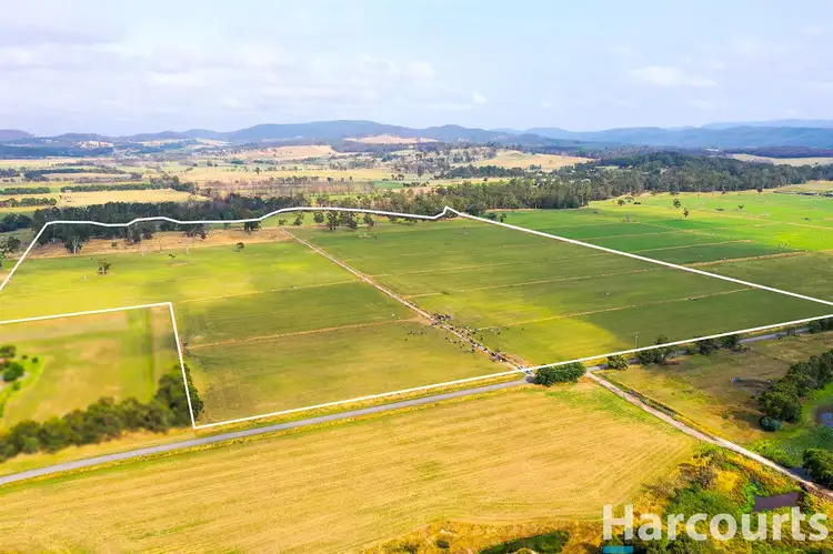 Second view of Homely rural property listing, 405 Morrison Road, Labertouche VIC 3816