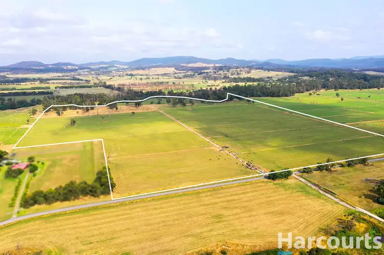 Third view of Homely rural property listing, 405 Morrison Road, Labertouche VIC 3816