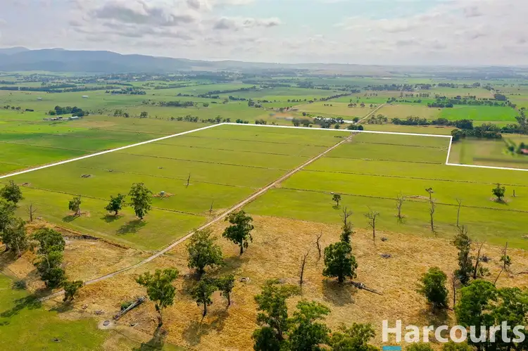 Sixth view of Homely rural property listing, 405 Morrison Road, Labertouche VIC 3816