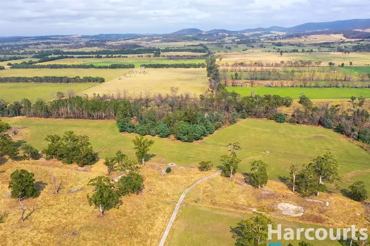 Seventh view of Homely rural property listing, 405 Morrison Road, Labertouche VIC 3816